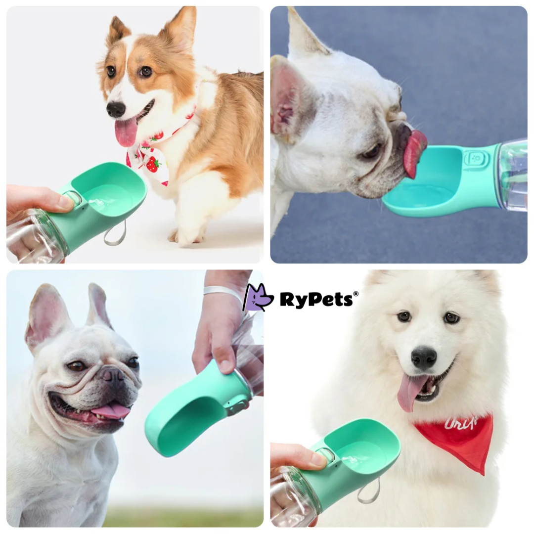 Portable Dog Water Bottle