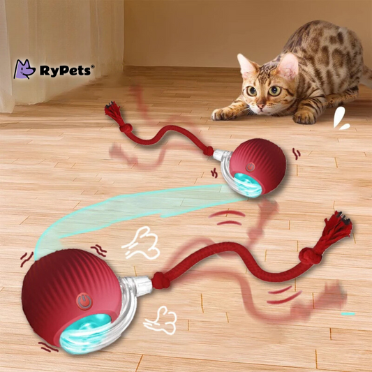 Smart Interactive Cat Ball Toy